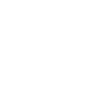 Laser Light Engravers